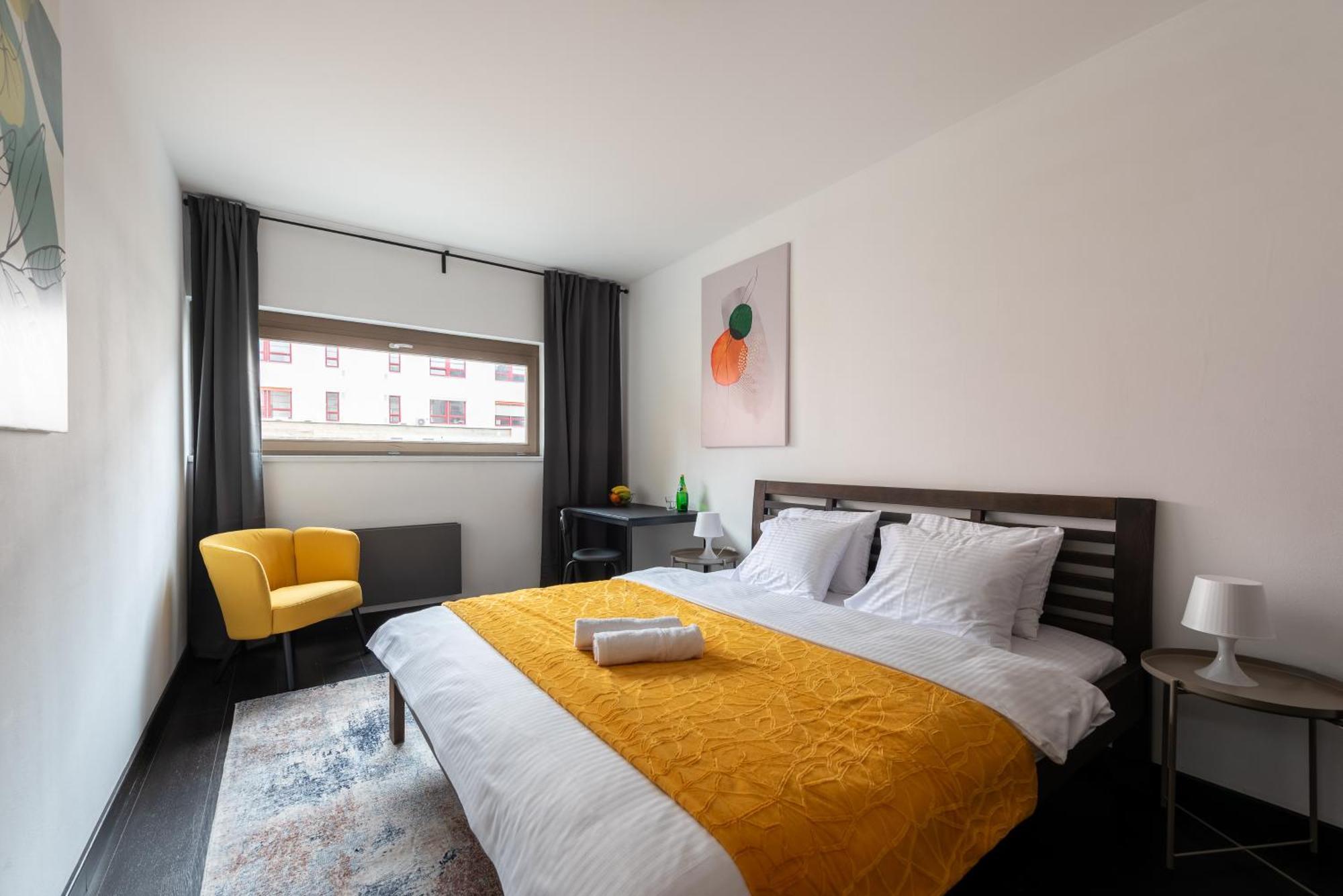 Spacious Near Karlin Square Prag